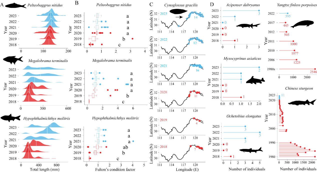 利来国际净水研究揭示长江“十年禁渔”促进生物多样性恢复的生态机制